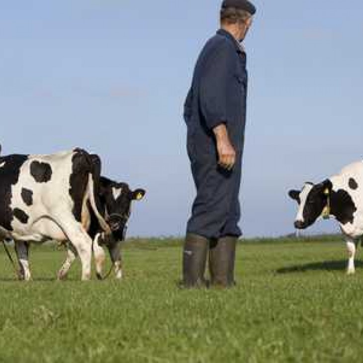 foto Opnieuw afscheid van een aloude traditie: einde blauwe overall